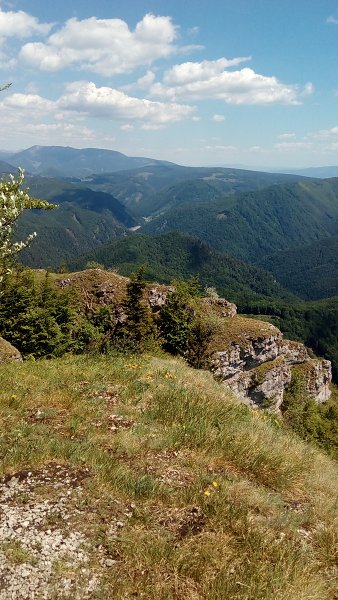 3.6.2017: Veľká Fatra: Krížna