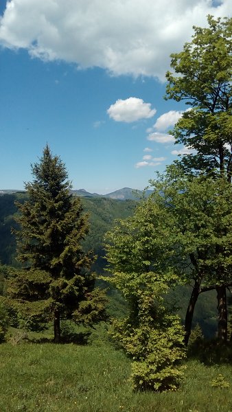 3.6.2017: Veľká Fatra: Krížna