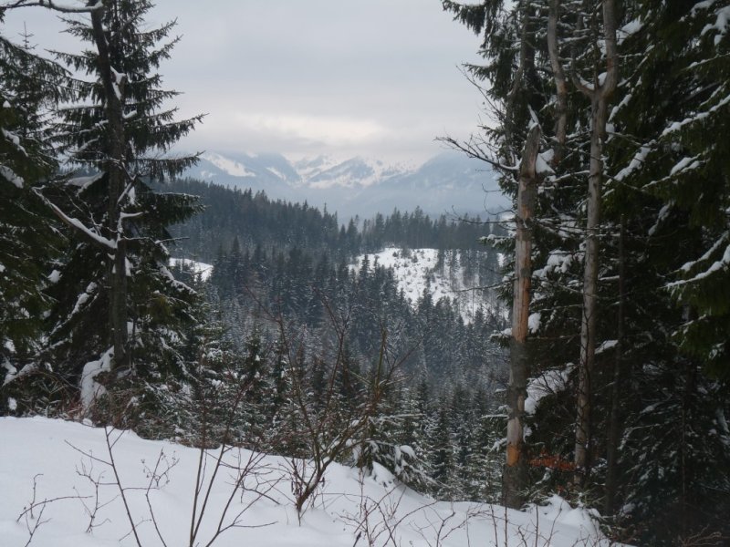 27.1.2018: Donovaly-Baláže