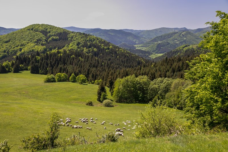 6.5.2018: Dedečkova chata