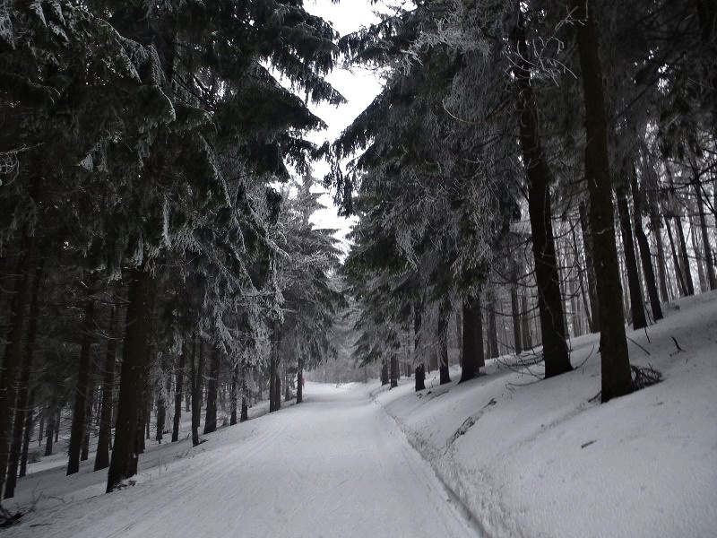 13.1.2018: Kremnické vrchy (južný okruh)