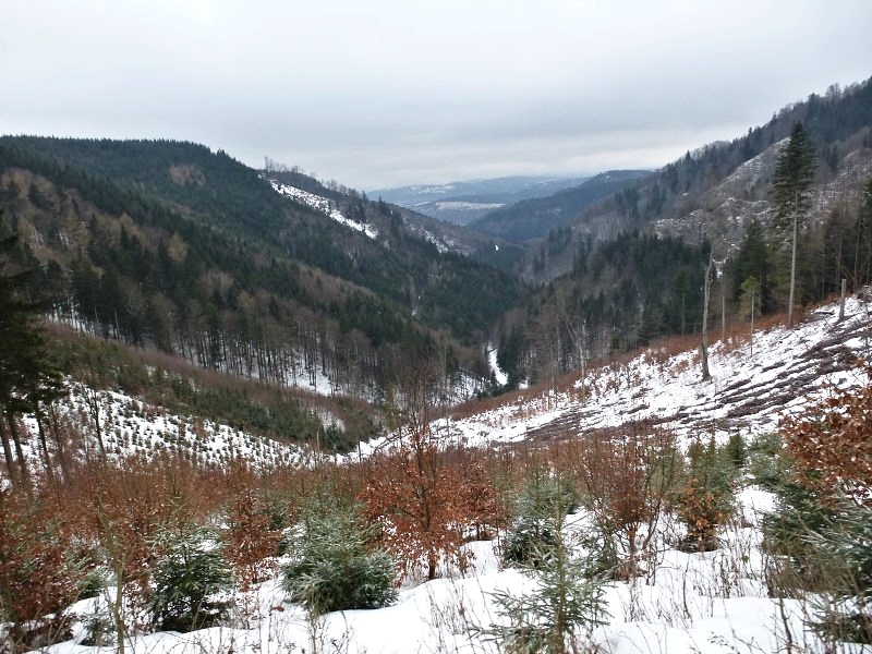 13.1.2018: Kremnické vrchy (južný okruh)