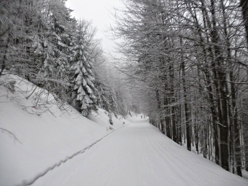 13.1.2018: Kremnické vrchy (južný okruh)