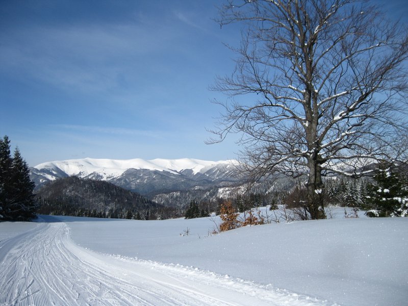 17.2.2018: LPPR 2018 Donovaly - Šachtička