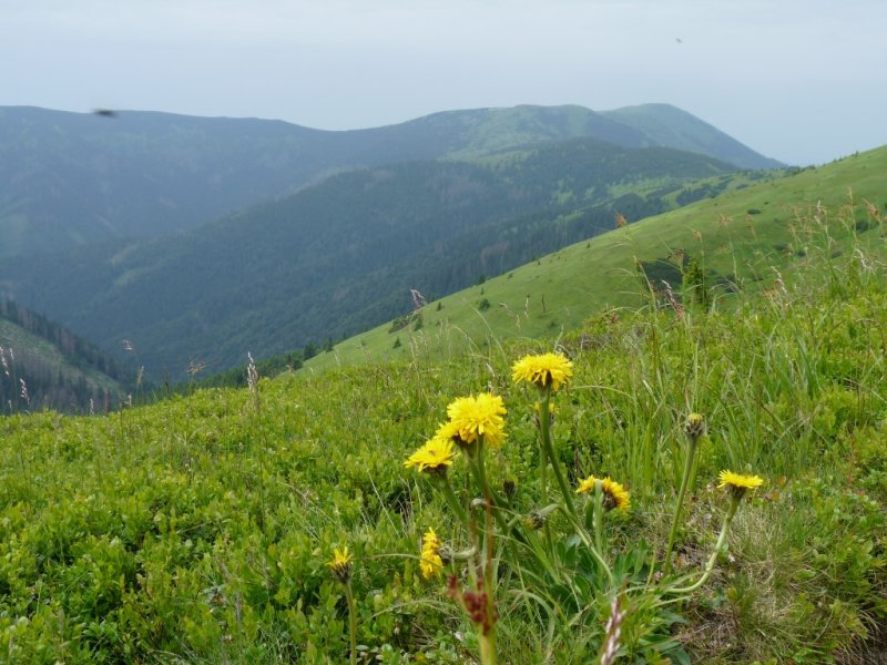 9.6.2018: Magurka-Liptovská Lúžna