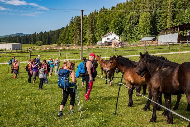 26.5.2018: Muránska planina