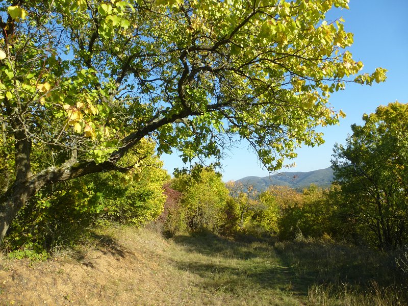 6.10.2018: Rokoš