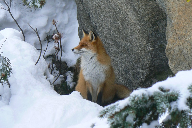 15.12.2018 Vysoké Tatry