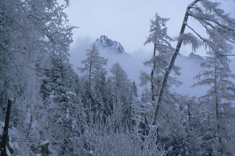 15.12.2018 Vysoké Tatry