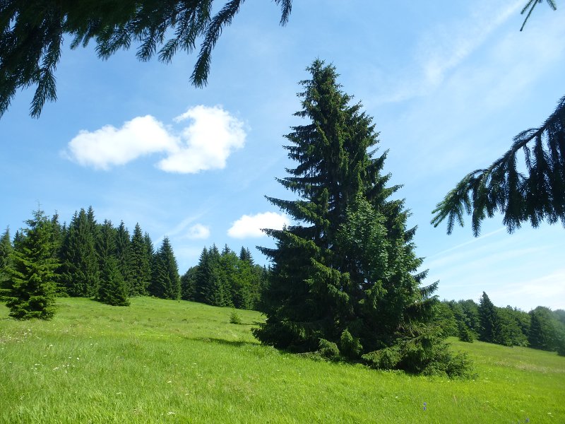 16.6.2018: Ľubietovský Vepor a Hrb