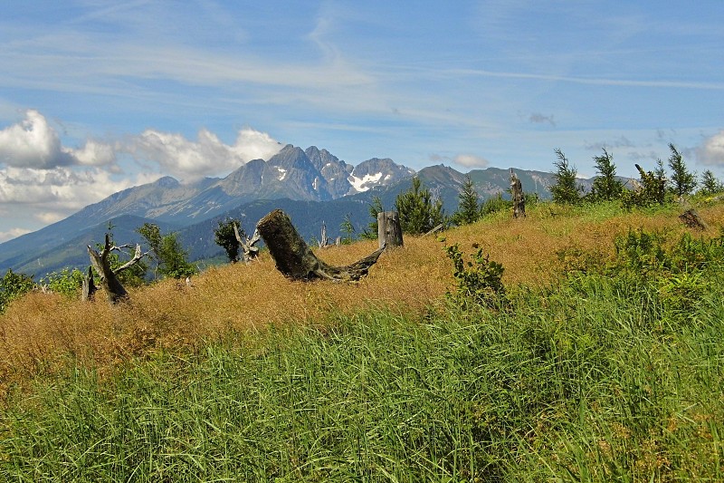 29.6.2019 Spišská Magura