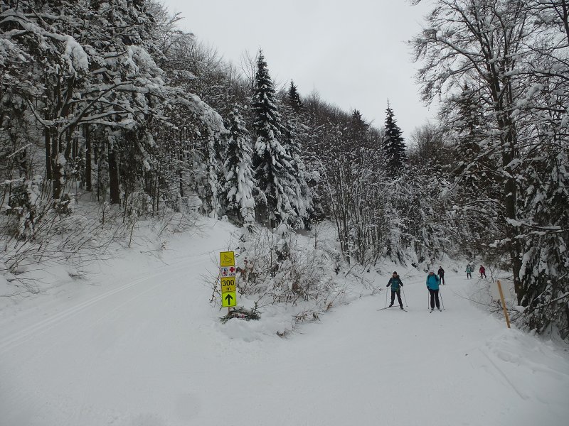 26.1.2019: Králiky-Brestová-Králiky