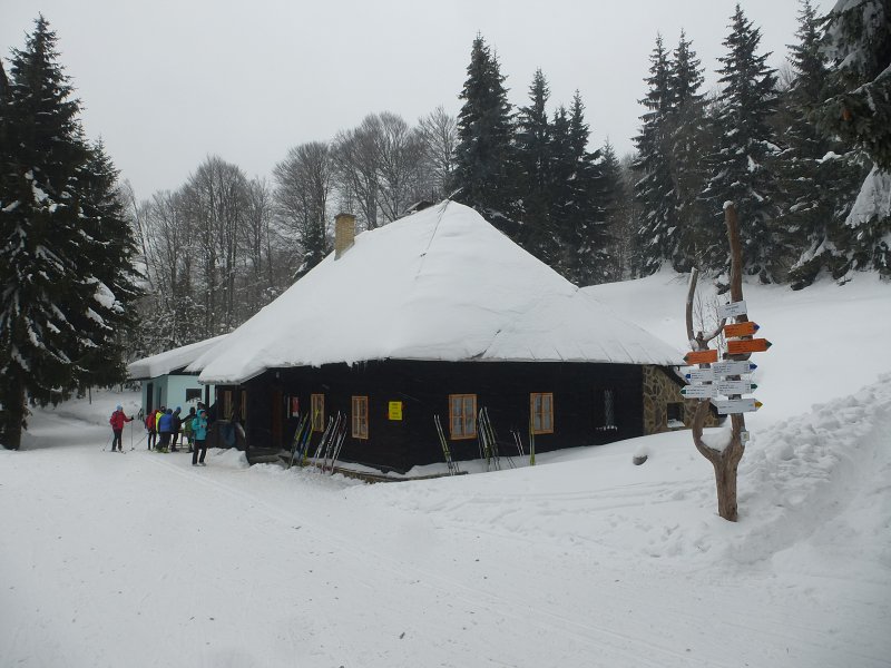26.1.2019: Králiky-Brestová-Králiky