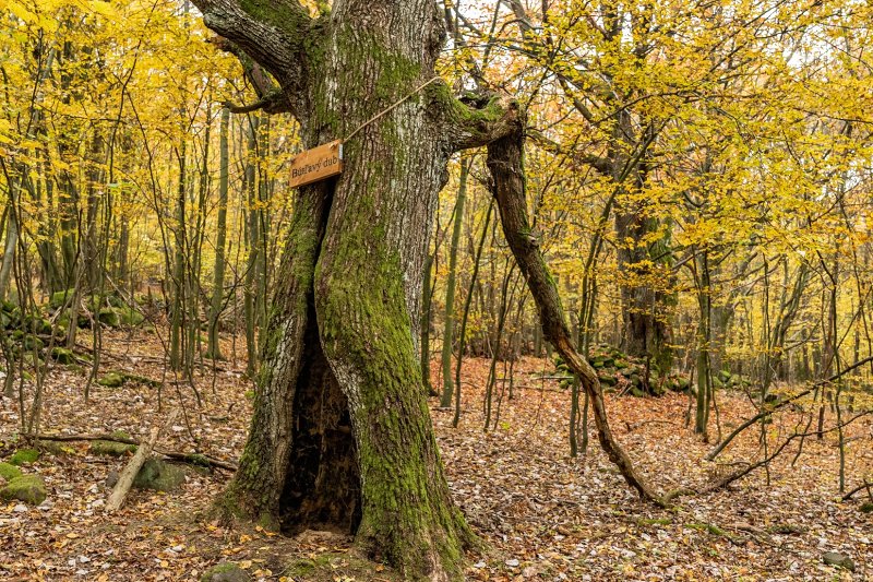 19.10.2019: Pohronský Inovec