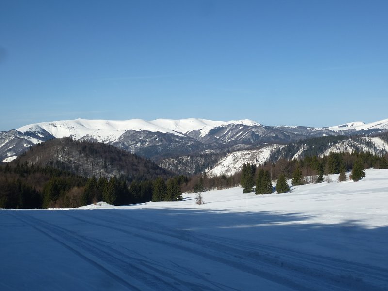16.2.2019: Donovaly - Šachtička (56. ročník LPPR)