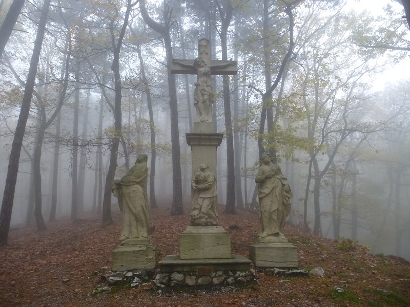 9.11.2019: Nitrianska Blatnica, Marhát