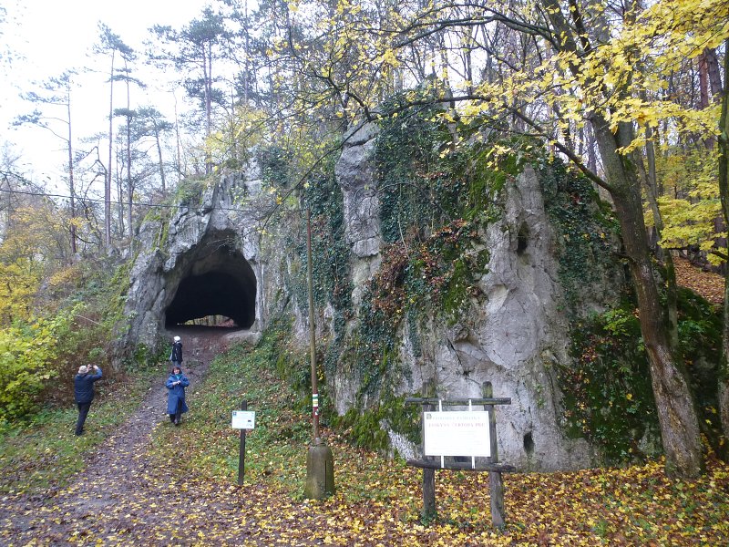 9.11.2019: Nitrianska Blatnica, Marhát