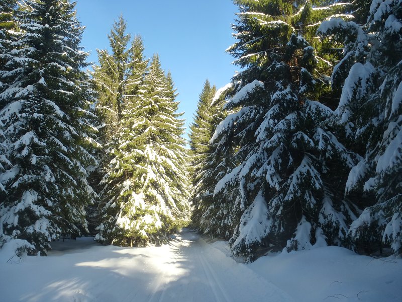 15.2.2020: 57. ročník LPPR