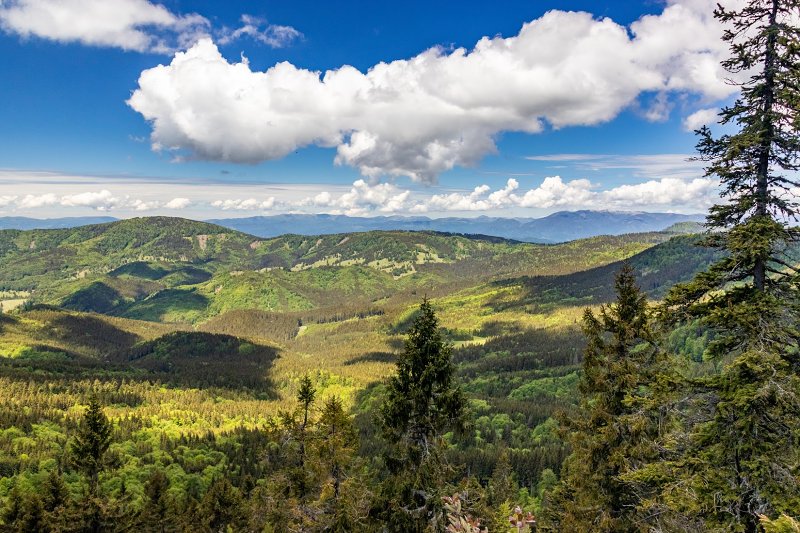 6.6.2020: Poľana