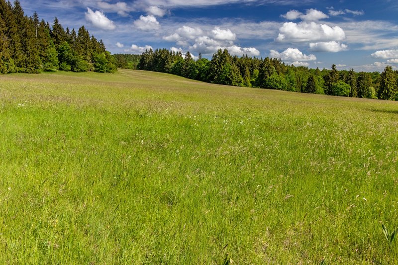 6.6.2020: Poľana