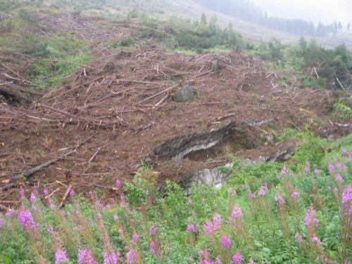 Roháče: Žiarske sedlo – Baranec 13.9.2009 – foto 12