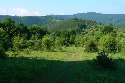 Strážovské vrchy 23.5.2009: Baske Stretnutie priaznivcov časopisu Krásy Slovenska – foto 2