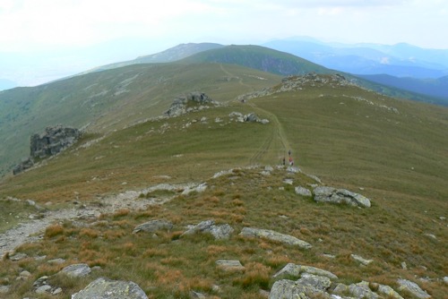 Nízke Tatry 15.8.2009 – Kráľova hoľa – foto 10