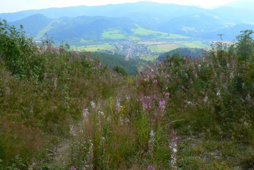 Nízke Tatry 15.8.2009 – Kráľova hoľa – foto 20