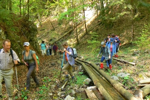 Veľká Fatra 1.5.2009: Harmanec – vodný žľab Rakytovo – foto 8