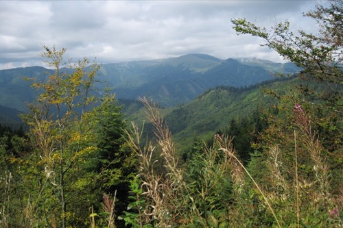 Nedeľa 12.9.2010 – foto 14