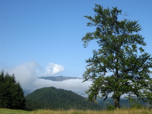 Nedeľa 12.9.2010 – foto 6
