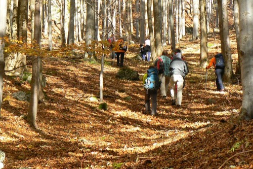 Drieňok – 9.10.2010 – foto 2