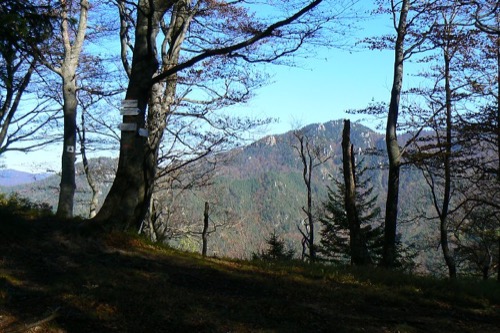Drieňok – 9.10.2010 – foto 15