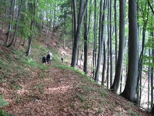 Nedeľa 4.7.2010 Kremnické vrchy