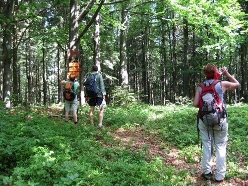 Nedeľa 4.7.2010 Kremnické vrchy – foto 2