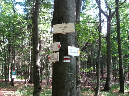Nedeľa 4.7.2010 Kremnické vrchy – foto 3