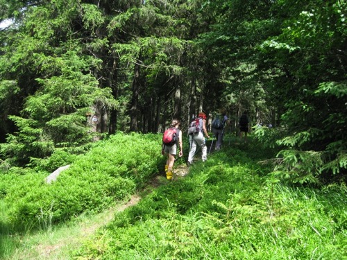 Nedeľa 4.7.2010 Kremnické vrchy – foto 4