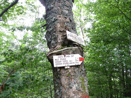 Nedeľa 4.7.2010 Kremnické vrchy – foto 9
