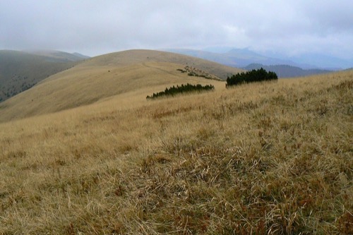 16.10.2010 – Turecká – Krížna – Majerova skala – Staré Hory – foto 4