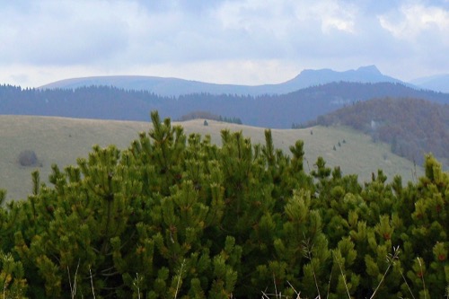 16.10.2010 – Turecká – Krížna – Majerova skala – Staré Hory – foto 10
