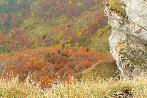 16.10.2010 – Turecká – Krížna – Majerova skala – Staré Hory – foto 16