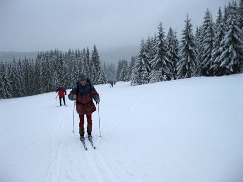lppr2010 – foto 4