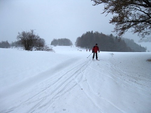 lppr2010 – foto 6