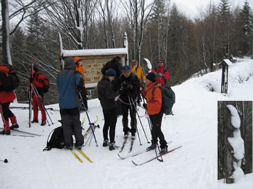 lppr2010 – foto 7