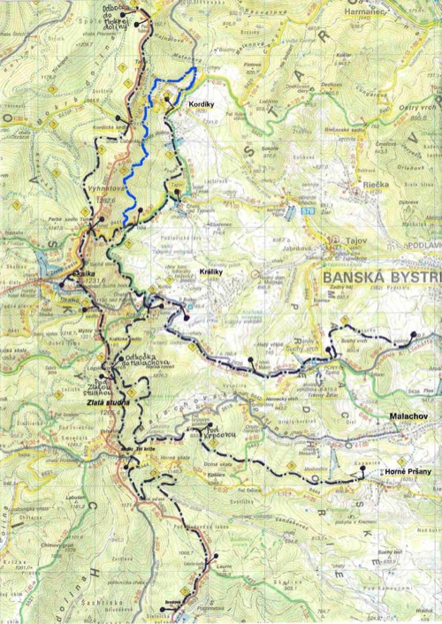 ltzt2010 – foto 13