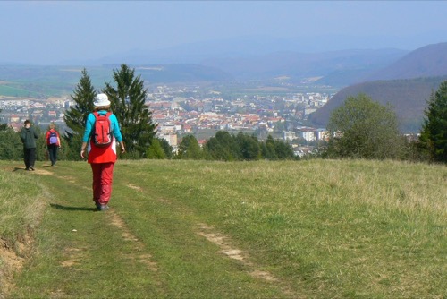 24.4.2010 Malachovské predhorie – foto 11