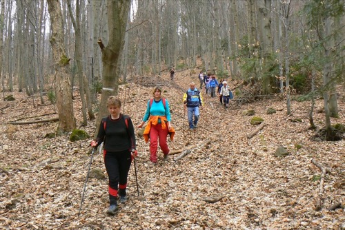 24.4.2010 Malachovské predhorie – foto 5