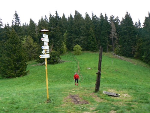 Nedeľa 30.5.2010 Poľana 1458 m – foto 13