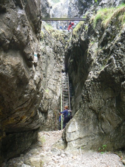 Sobota 22.5.2010 Chočské vrchy – foto 8