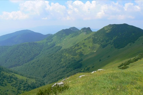 Sobota 3.7.2010 Malá Fatra – foto 11